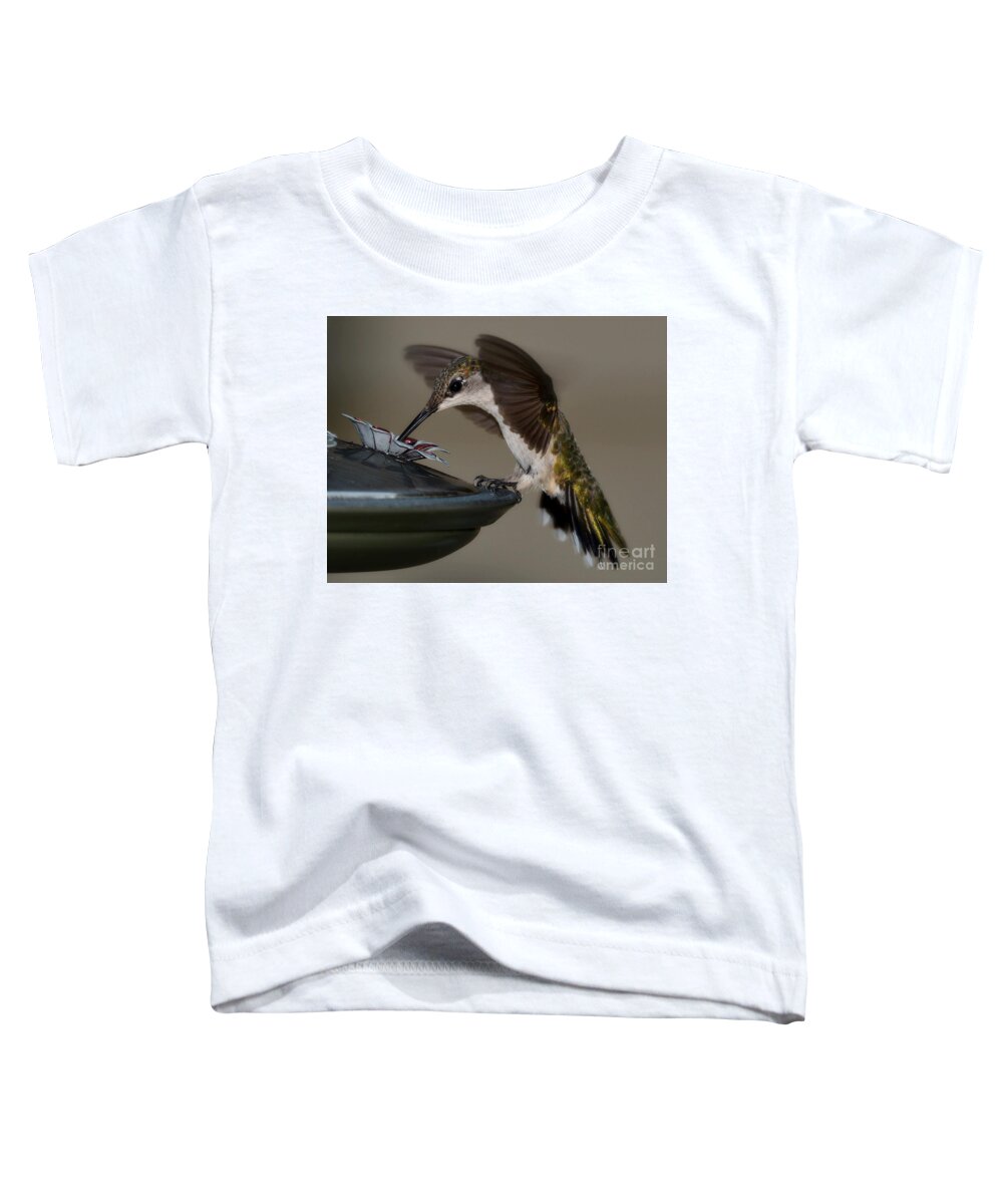 Birds Toddler T-Shirt featuring the photograph Ruby - Throated Hummingbird by Steve Brown