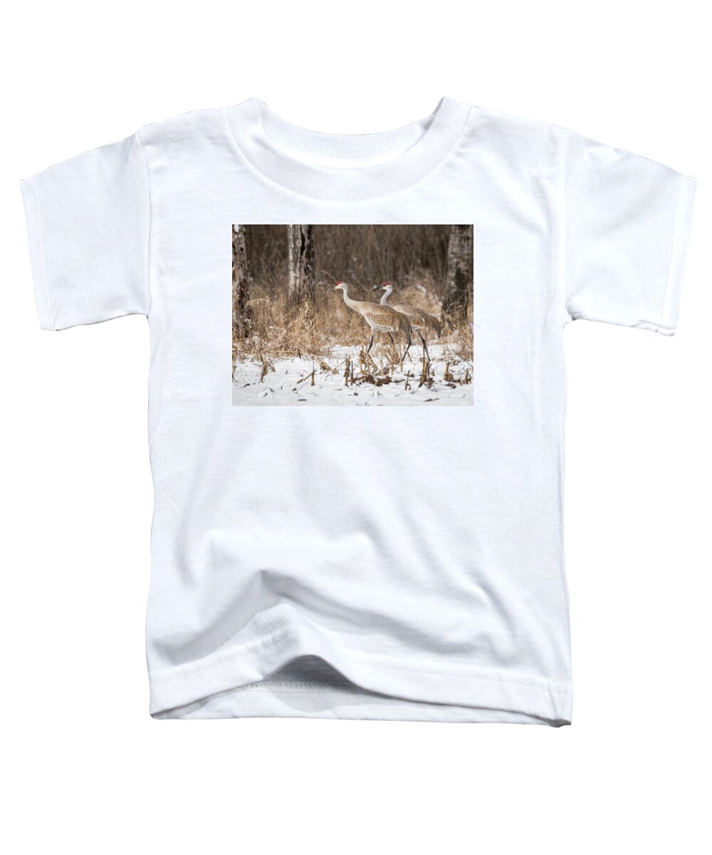 Two Sandhill Cranes Toddler T-Shirt featuring the photograph Sandhill Crane 2016-4 by Thomas Young