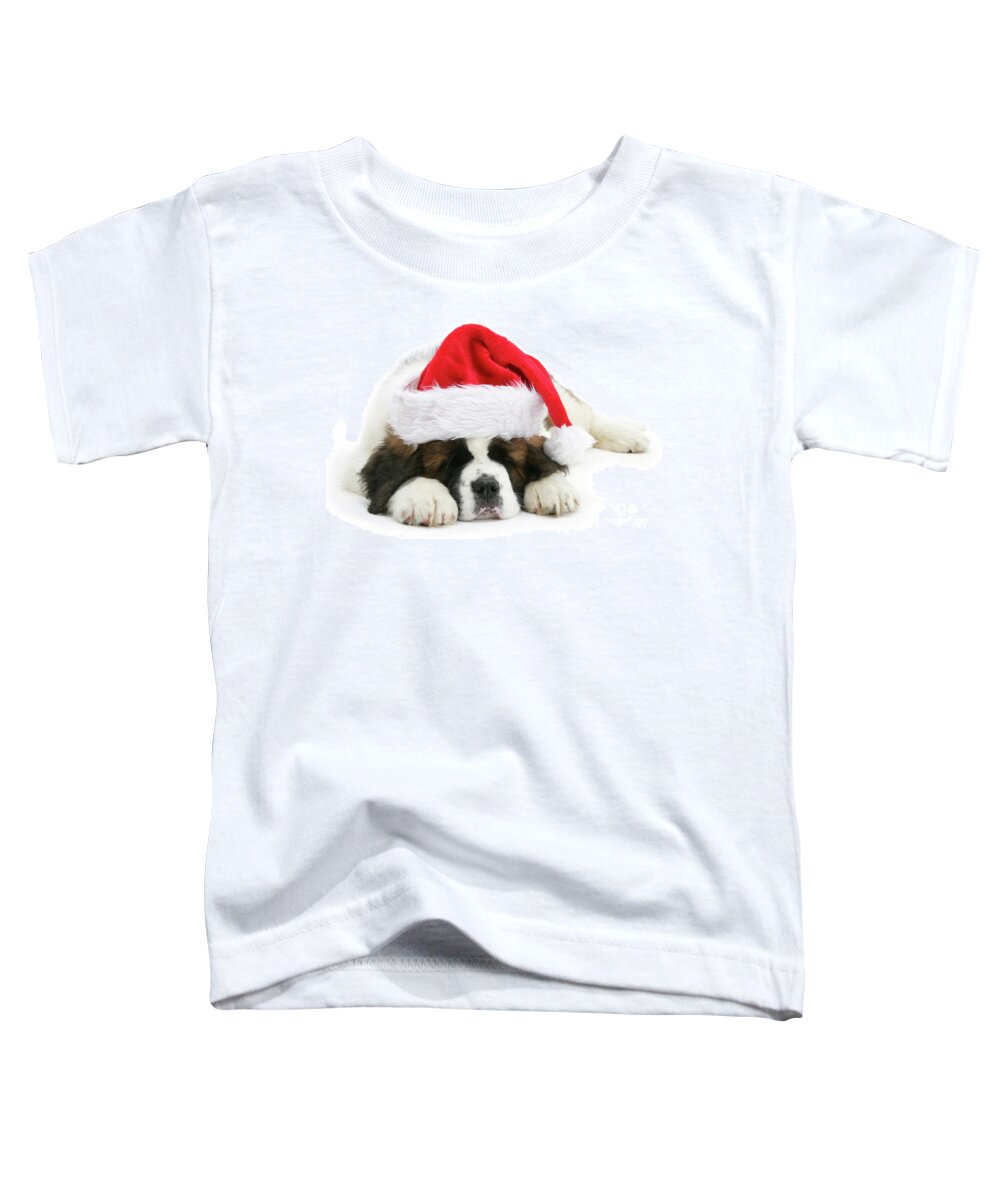 Saint Bernard Toddler T-Shirt featuring the photograph Santa's Snoozing Saint Bernard by Warren Photographic