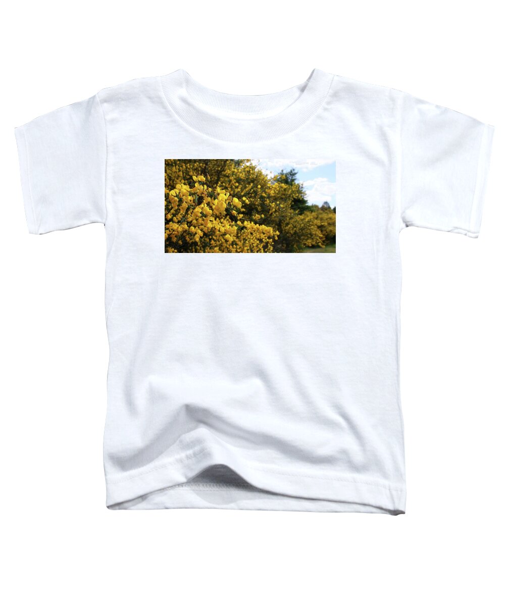 Flower Toddler T-Shirt featuring the photograph Scotch Broom by KATIE Vigil