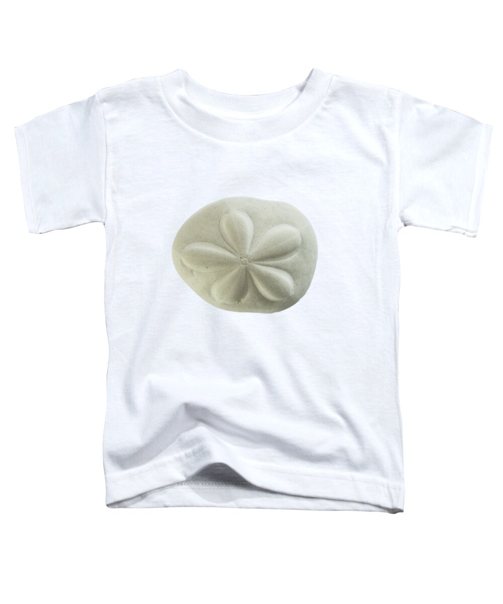 Sand Dollar Toddler T-Shirt featuring the photograph Sea Biscuit by Judy Hall-Folde