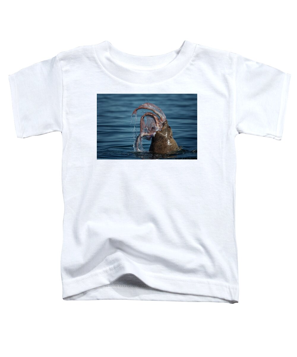 Bc Toddler T-Shirt featuring the photograph Seafood Diet by Randy Hall