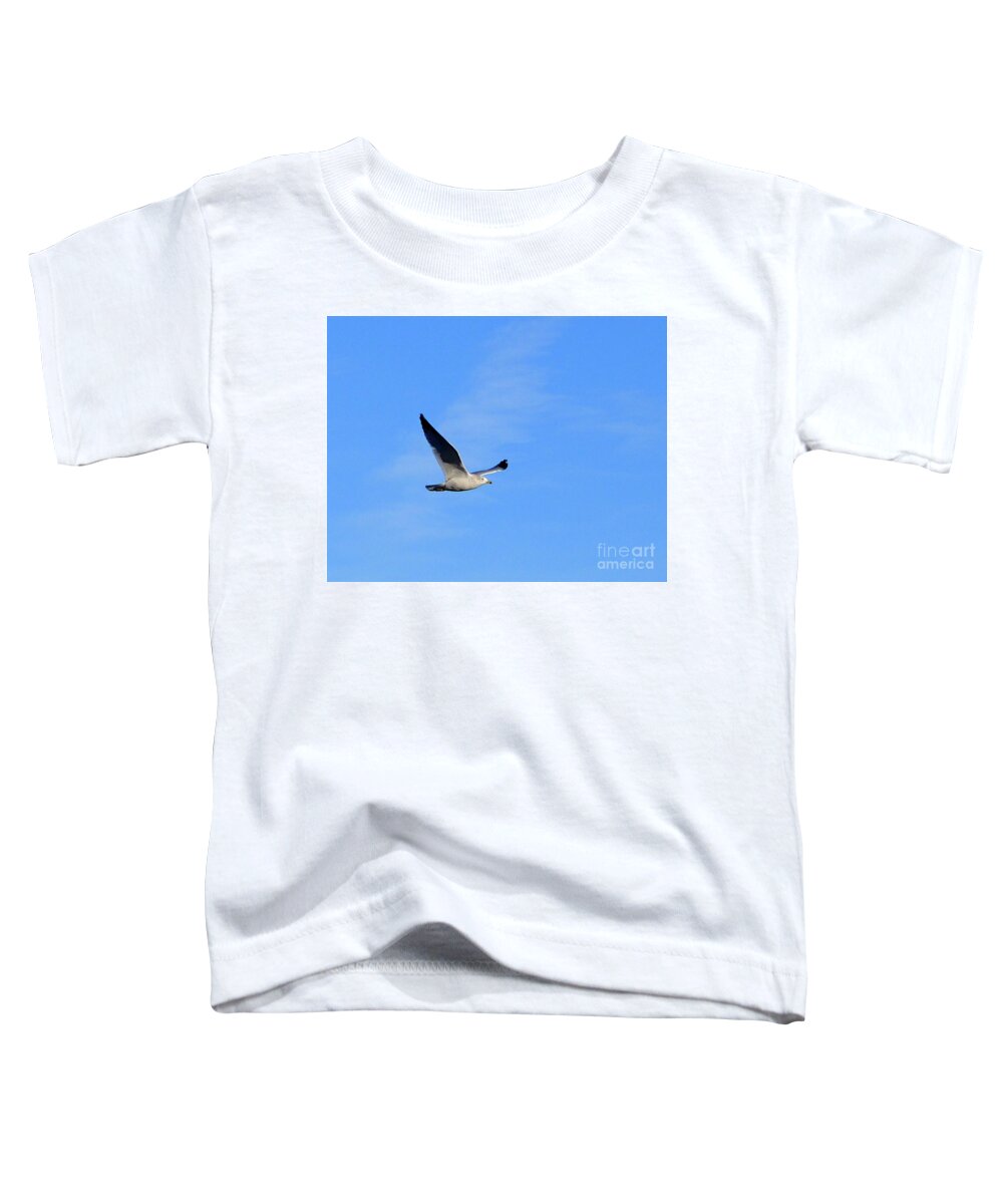 Seagull In Flight Toddler T-Shirt featuring the photograph Seagull in Flight by Cindy Schneider