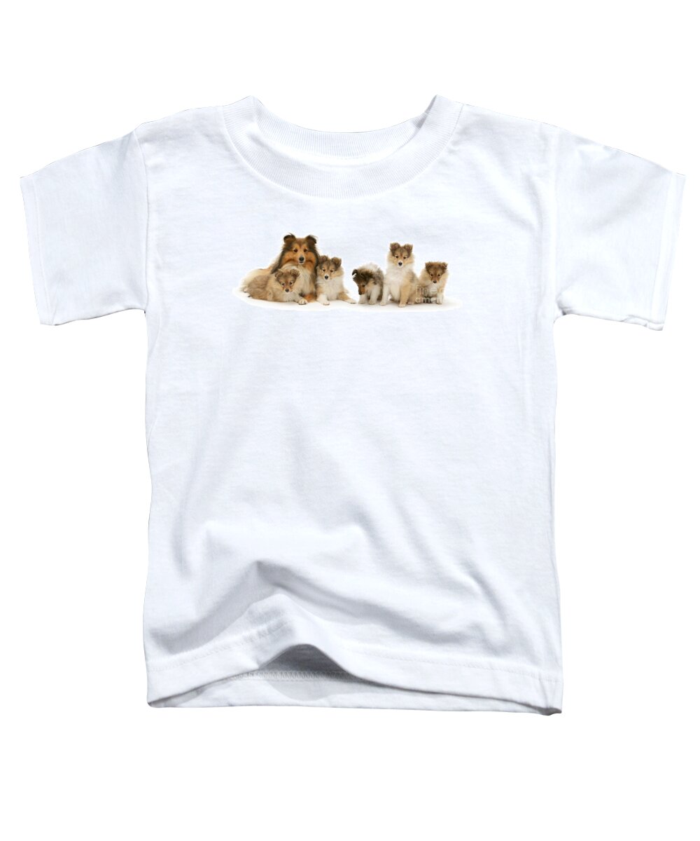 Shetland Sheepdog Toddler T-Shirt featuring the photograph Shetland Sheepdog family by Warren Photographic