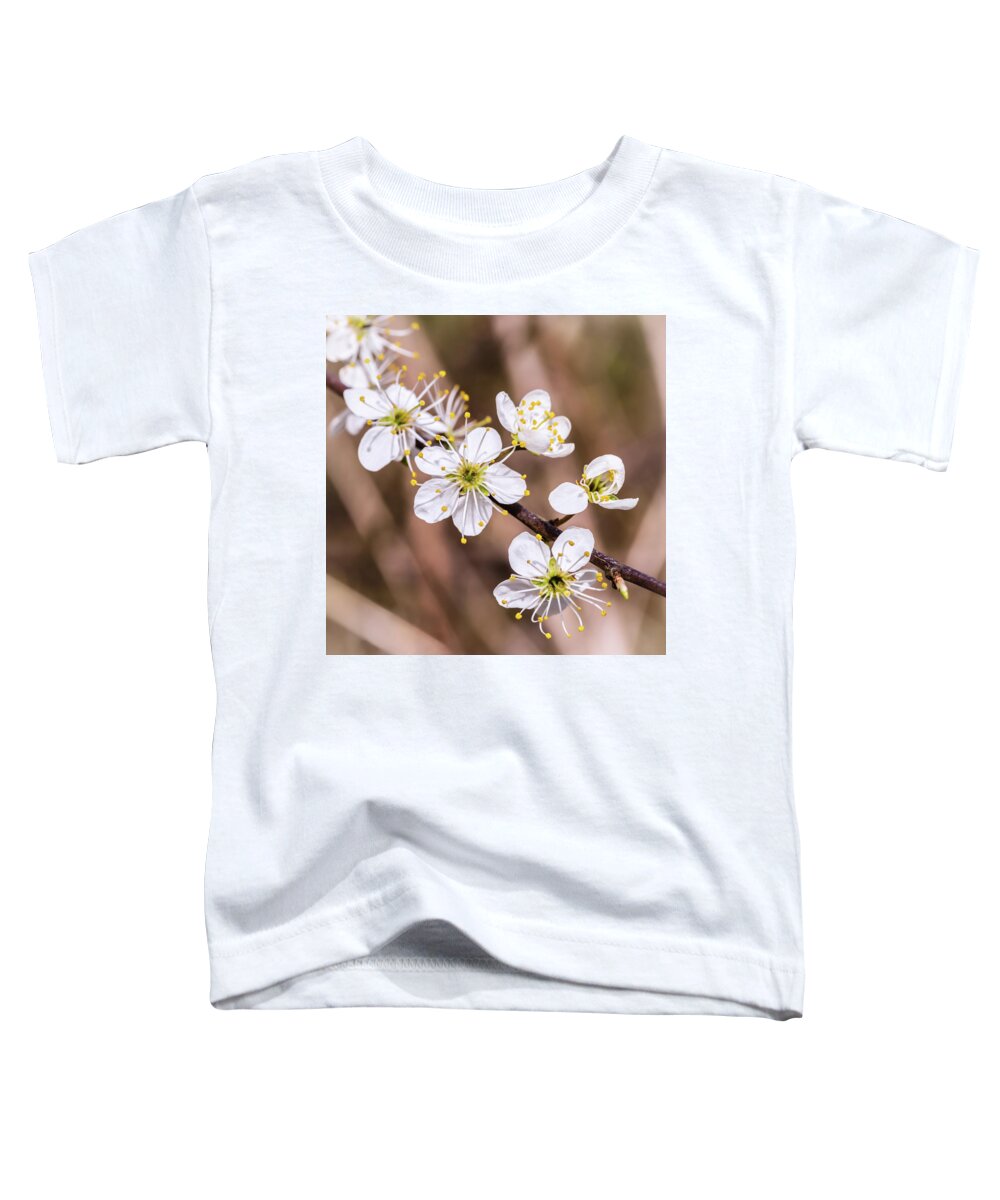 Spring Toddler T-Shirt featuring the photograph Signs of Spring by Nick Bywater