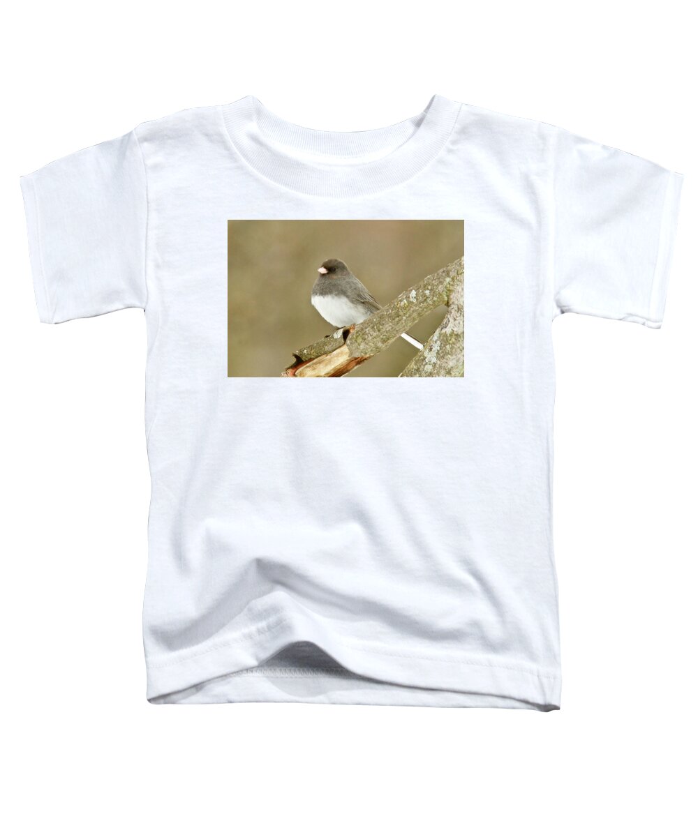 Bird Toddler T-Shirt featuring the photograph Slate-colored Dark-eyed Junco 3126 by Michael Peychich