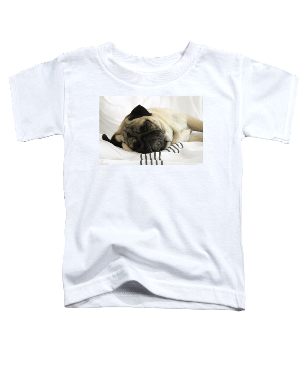 Pug Toddler T-Shirt featuring the photograph Sleeping Pug by Jackson Pearson