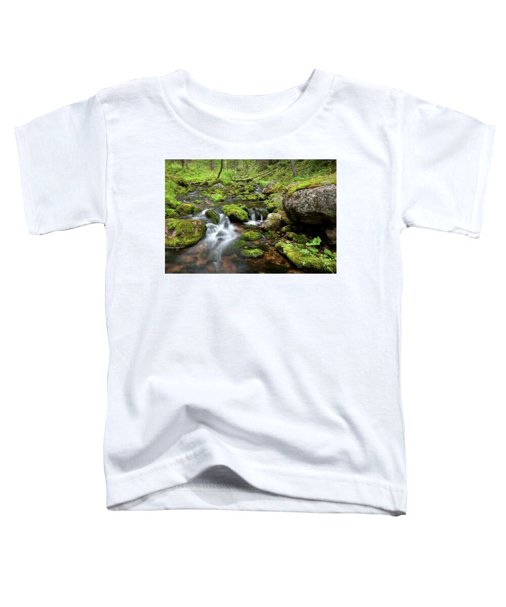 Velhopolku Toddler T-Shirt featuring the photograph Small Creek on Velhopolku Trail by Aivar Mikko