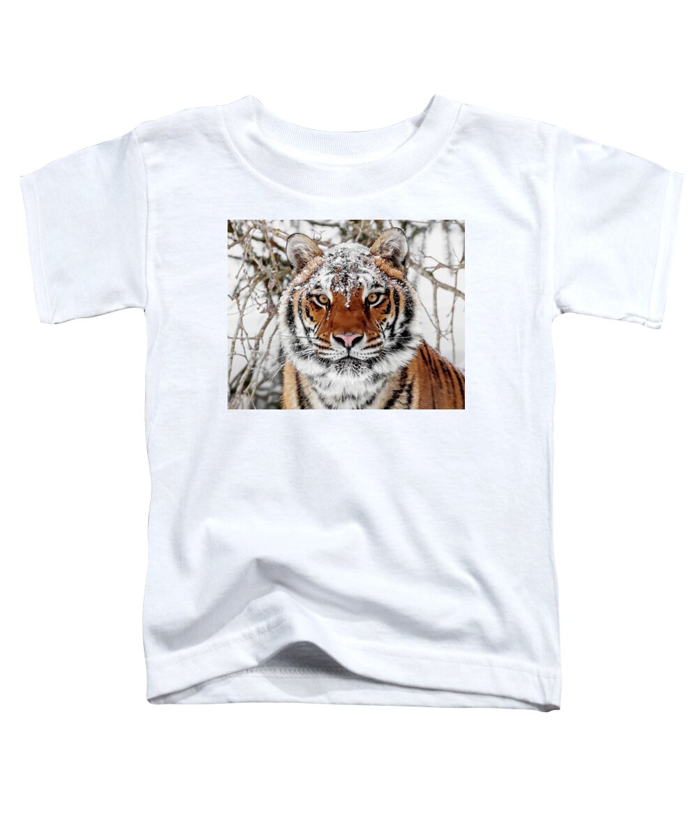 Snow Capped Siberian Toddler T-Shirt featuring the photograph Snow Capped Siberian by Wes and Dotty Weber