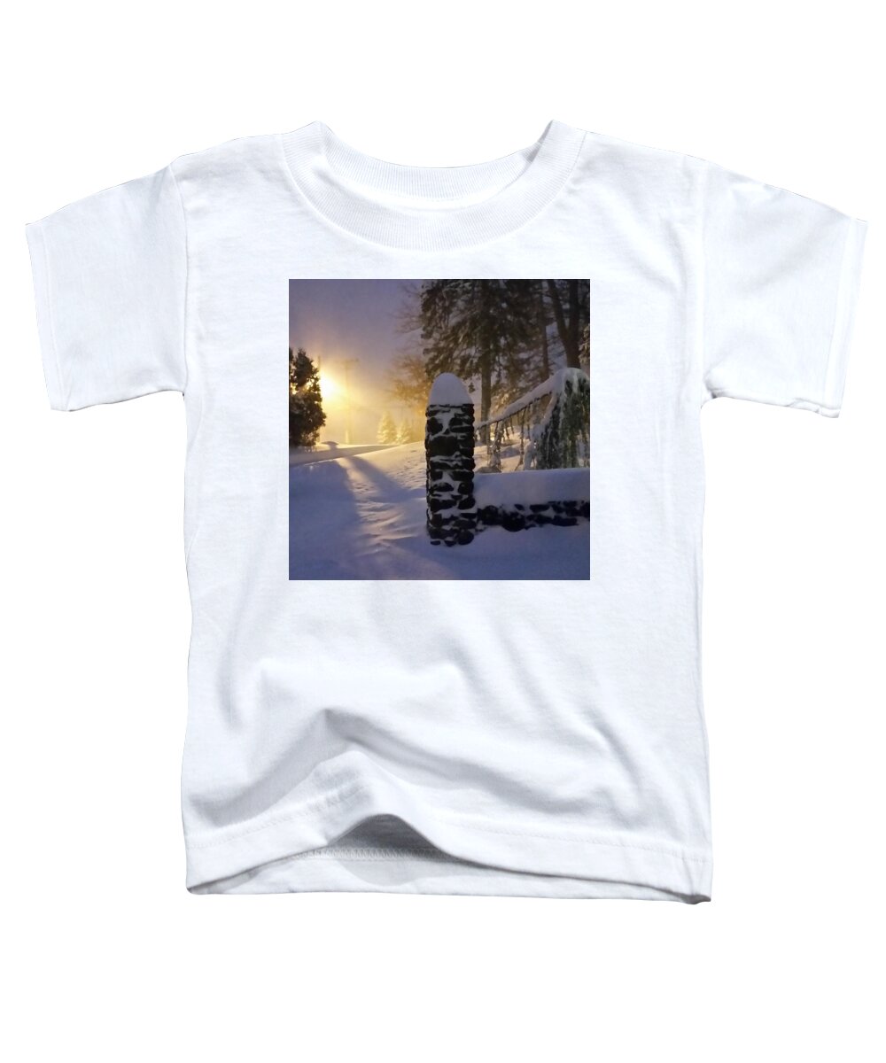 Snow Toddler T-Shirt featuring the photograph Snow Storm by Street Light by Vic Ritchey