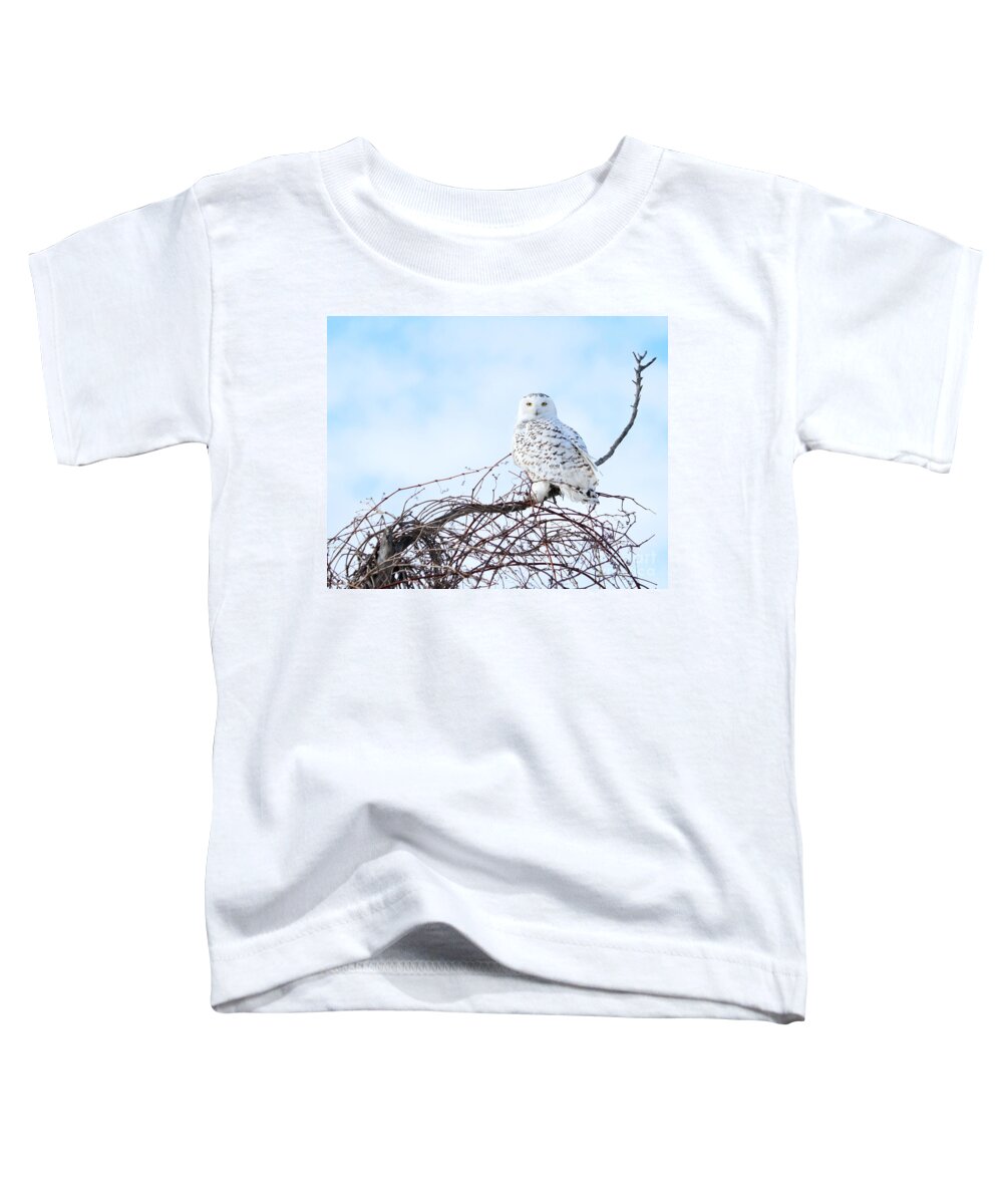 Snowy Owl Toddler T-Shirt featuring the photograph Snow White by Heather King