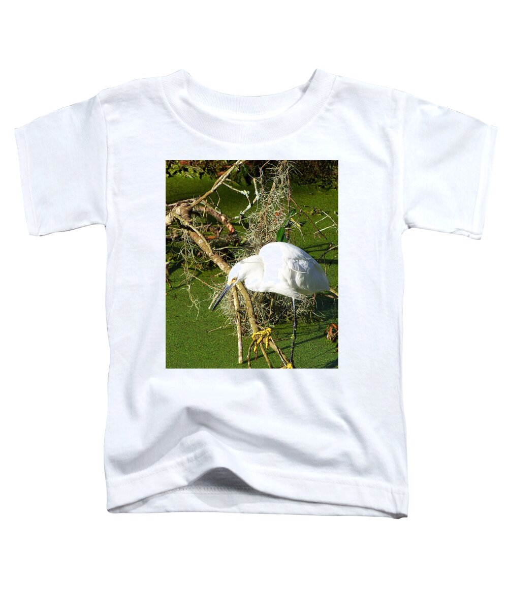 Egret Toddler T-Shirt featuring the photograph Snowy Egret 003 by Christopher Mercer