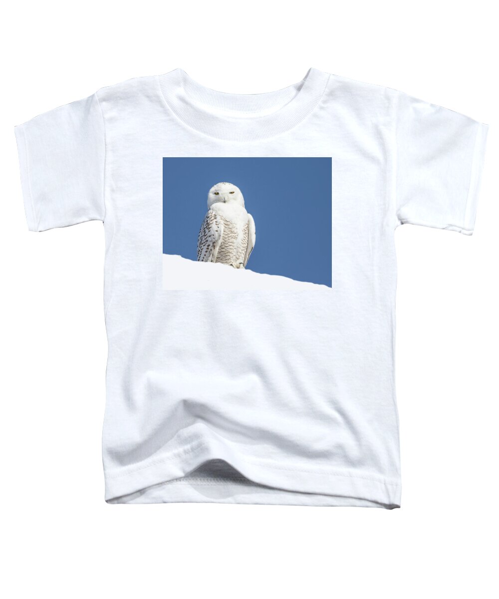 Snowy Owl Toddler T-Shirt featuring the photograph Snowy Owl #1 by Mindy Musick King