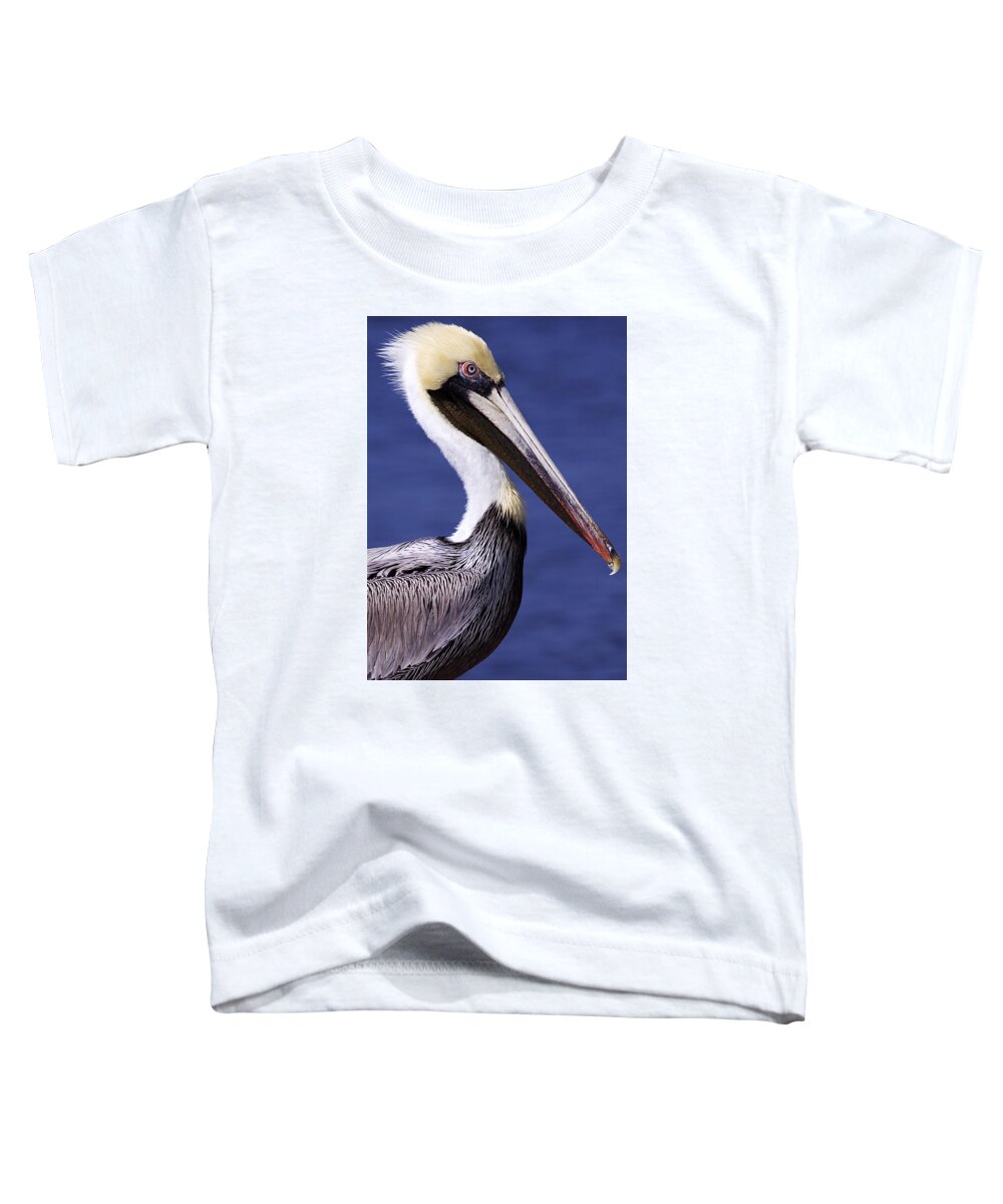 Southport Toddler T-Shirt featuring the photograph Southport Pelican 2 by Nick Noble