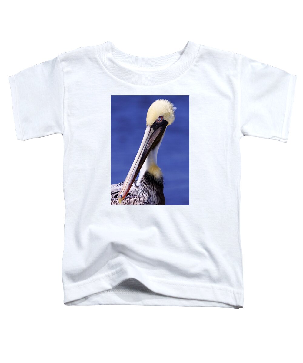 Southport Toddler T-Shirt featuring the photograph Southport Pelican by Nick Noble