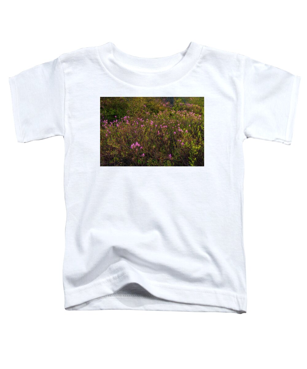 Blue Mountain- Birch Cove Lakes Wilderness Area Toddler T-Shirt featuring the photograph Spring Rhodora Blossoms Near Susies Lake by Irwin Barrett