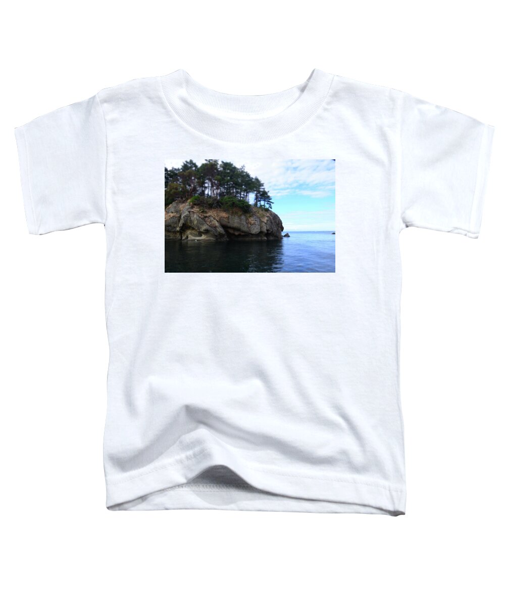Islands Toddler T-Shirt featuring the photograph Sucia Island by Aparna Tandon