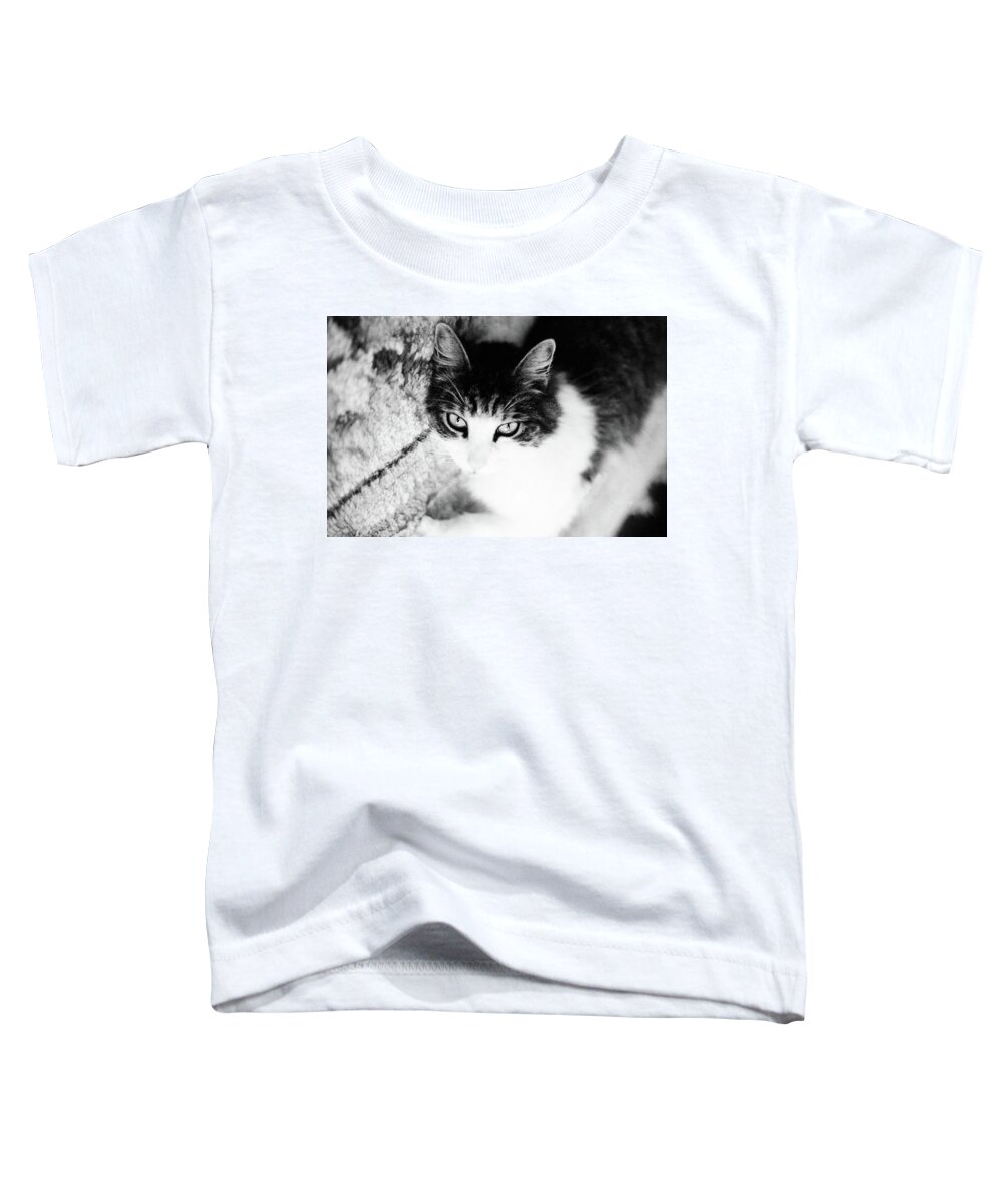 Cat Toddler T-Shirt featuring the photograph Sultry Feline by Geoff Jewett