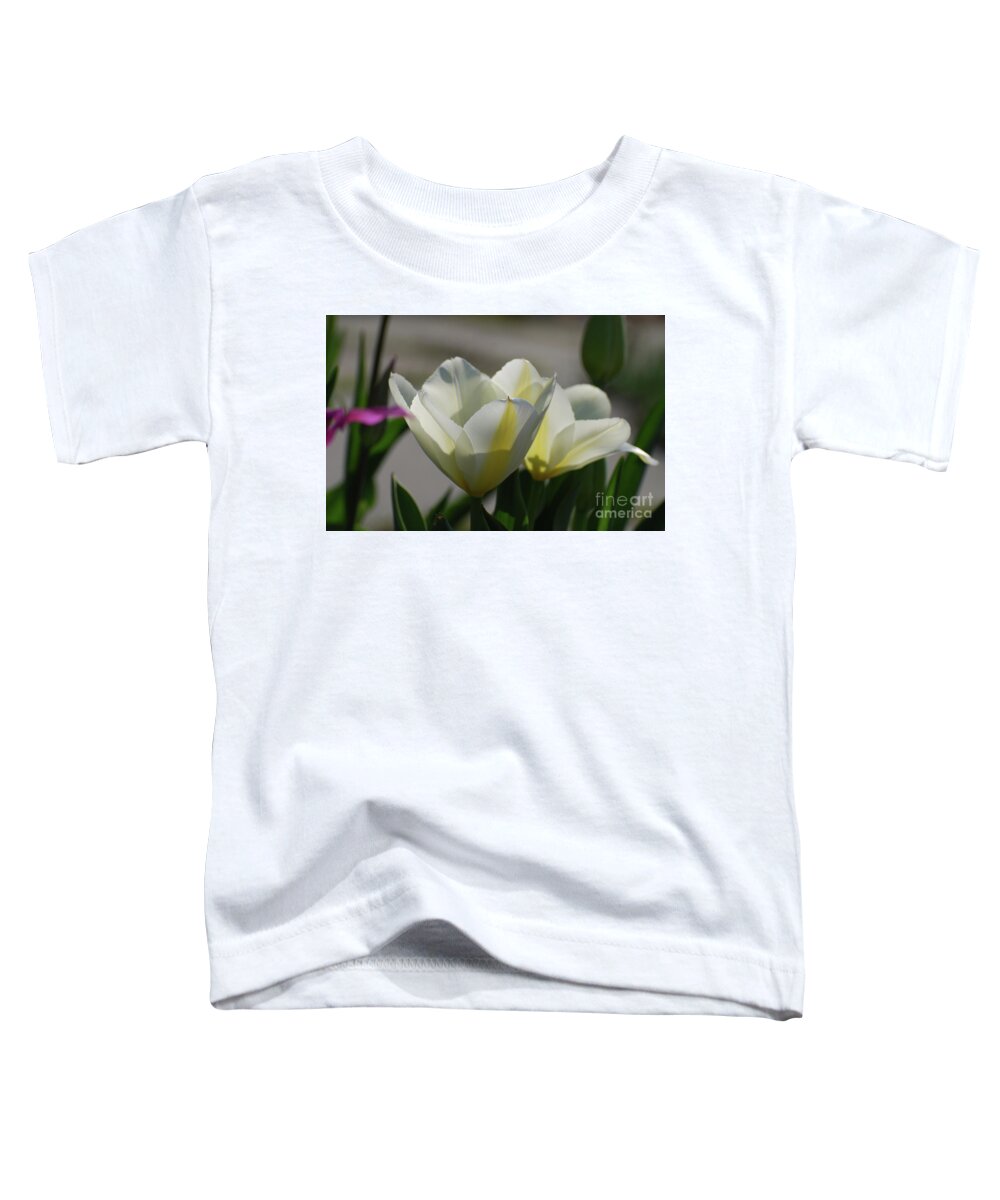 Tulip Toddler T-Shirt featuring the photograph Sun SHining on a Flowering White Tulip Flower Blossom by DejaVu Designs