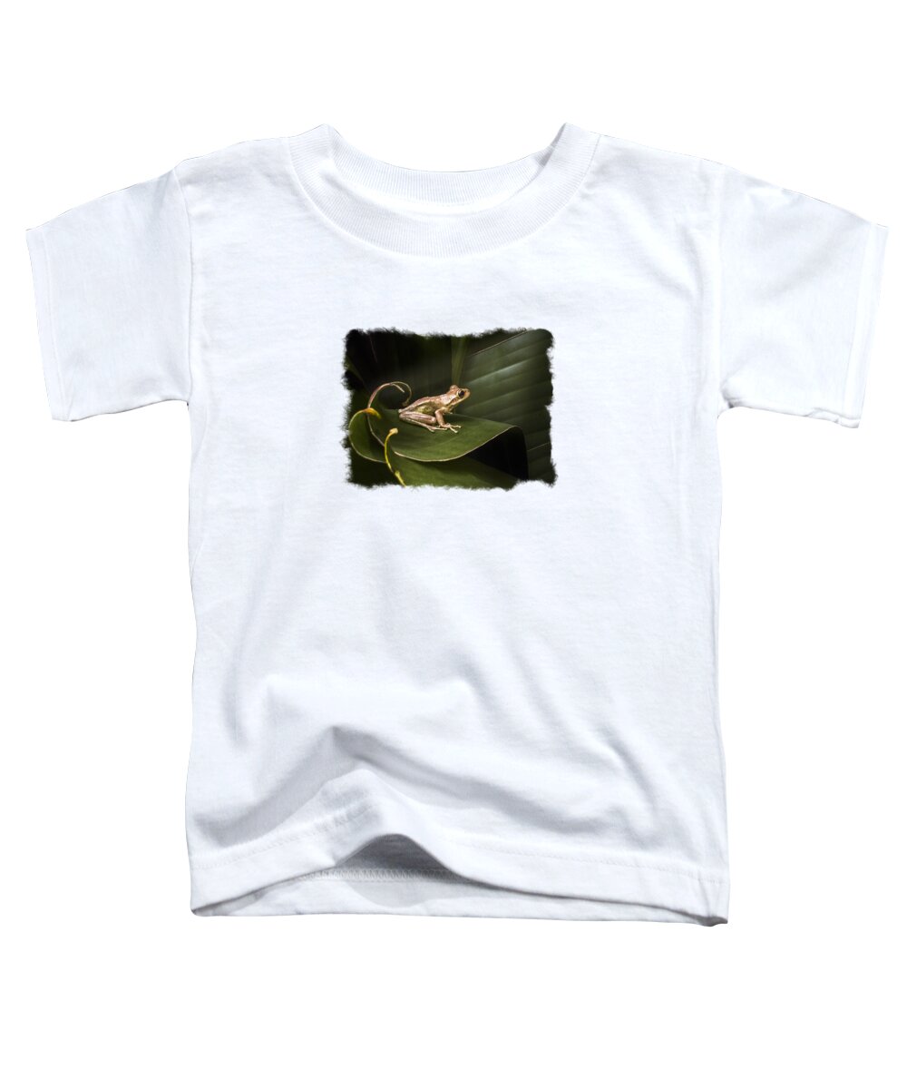 Frog Toddler T-Shirt featuring the photograph Surfing the Wave Bordered by Debra and Dave Vanderlaan