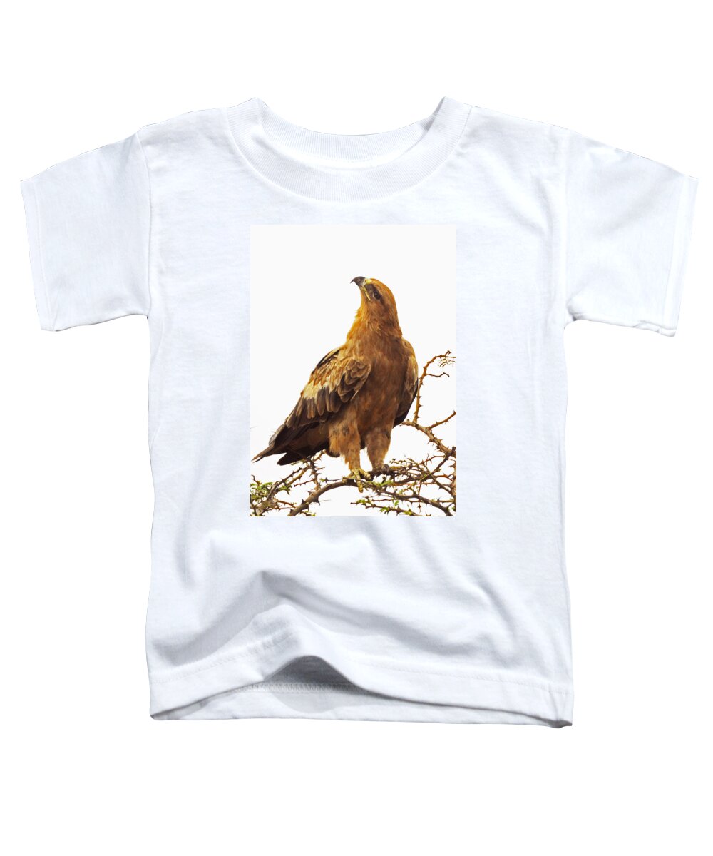 Birds Toddler T-Shirt featuring the photograph Tawny Eagle by Patrick Kain