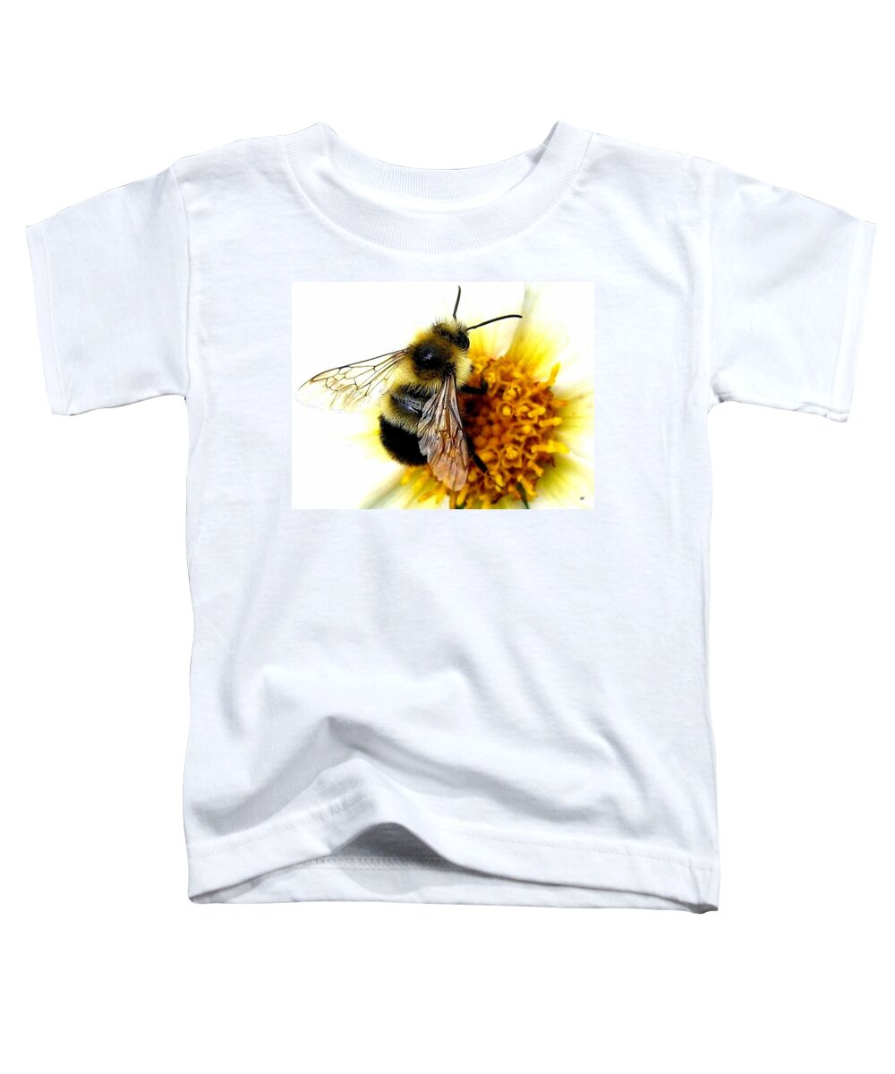 Honeybee Toddler T-Shirt featuring the photograph The Buzz by Will Borden