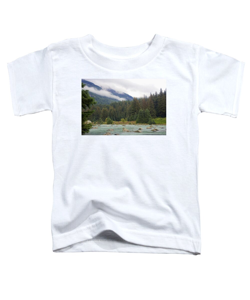 Chilkoot Toddler T-Shirt featuring the photograph The Chillkoot River 2 by Richard J Cassato