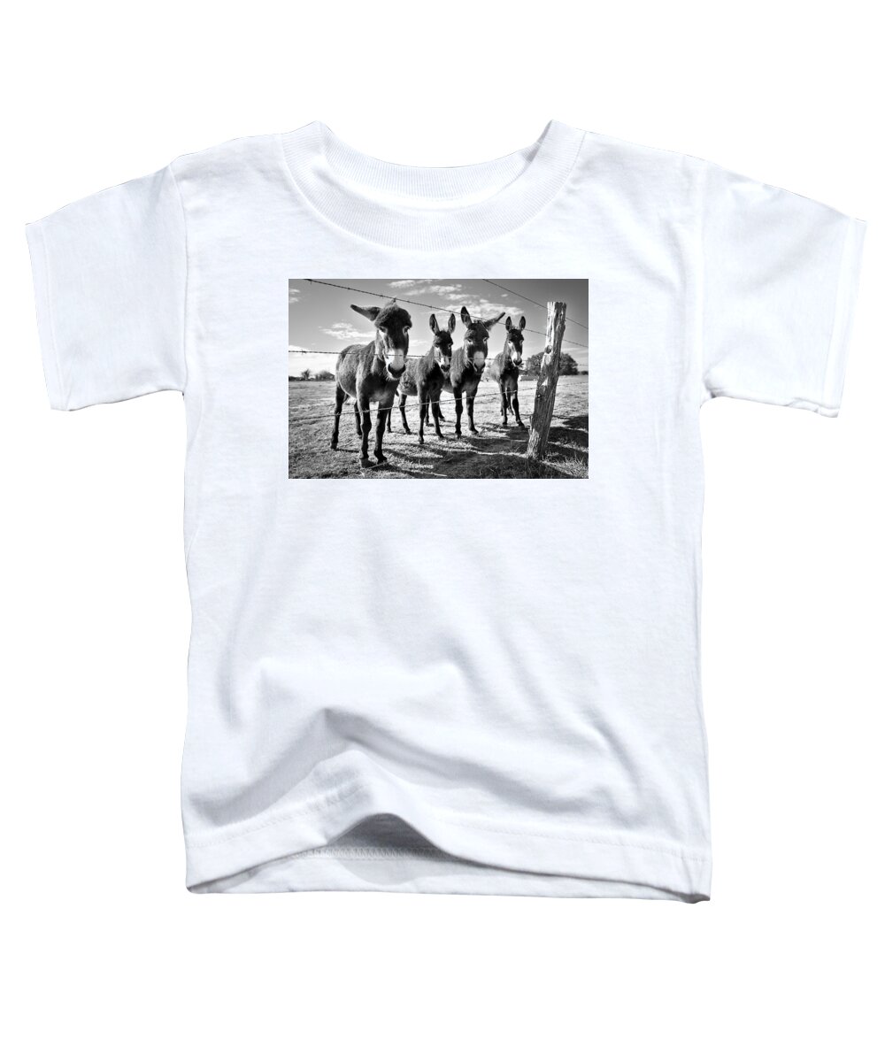Donkey Toddler T-Shirt featuring the photograph The Four Amigos by Sharon Jones