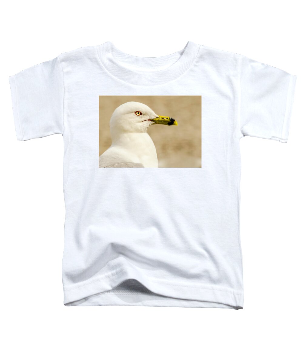 Great Lakes Gull Toddler T-Shirt featuring the photograph The Proud Gull by John Roach