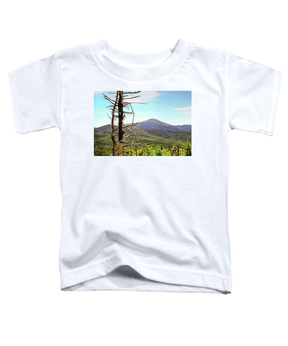Tabletop Toddler T-Shirt featuring the photograph The View from Tabletop Mountain Adirondacks Upstate New York by Toby McGuire