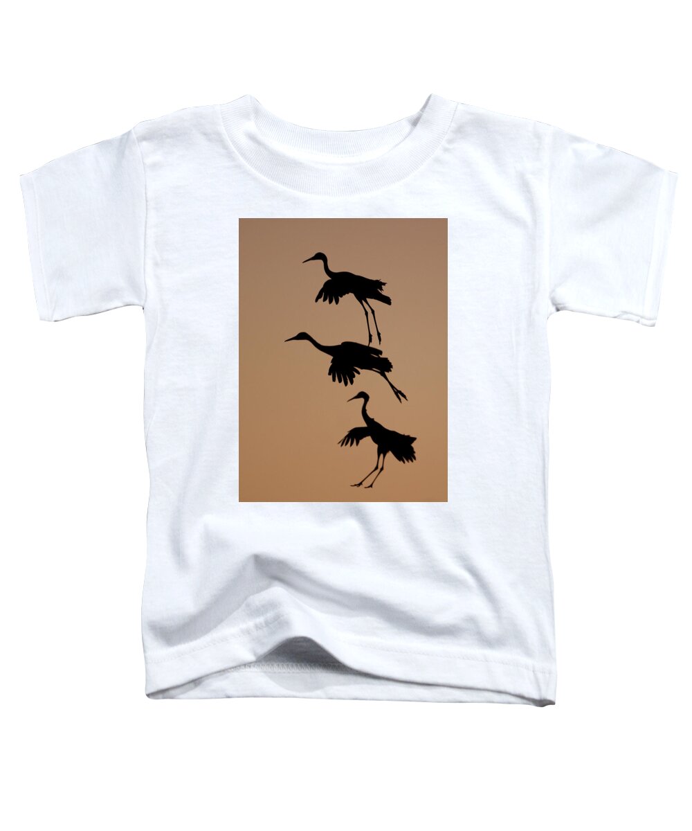 Wild Toddler T-Shirt featuring the photograph Trio of Cranes by Mark Miller