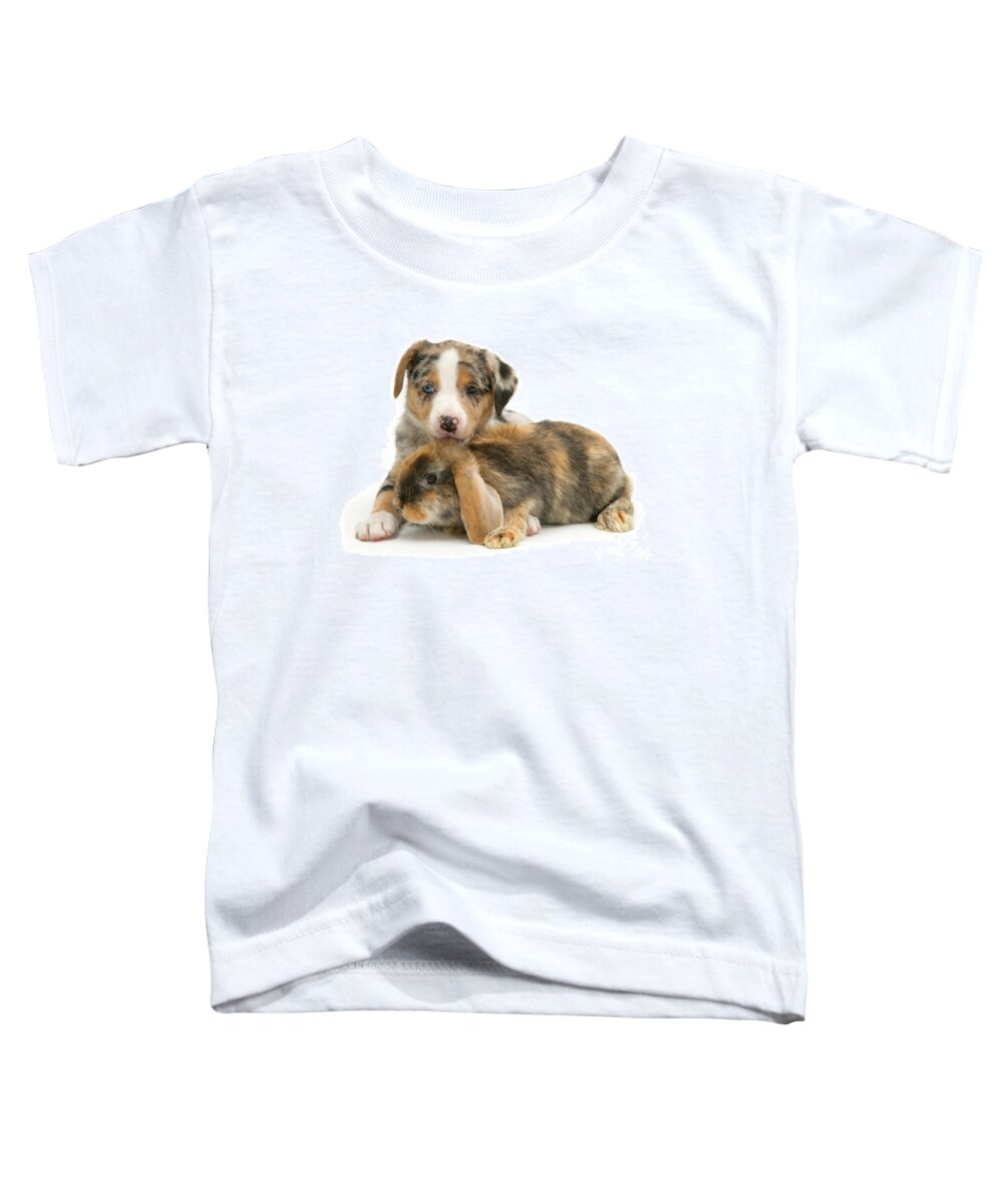 Merle Border Collie Toddler T-Shirt featuring the photograph Unusual Combo by Warren Photographic