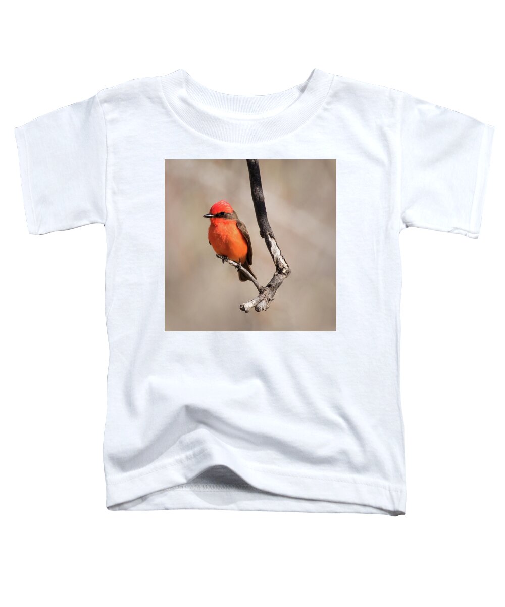 Vermilion Flycatcher Toddler T-Shirt featuring the photograph Vermillion Flycatcher by Jurgen Lorenzen