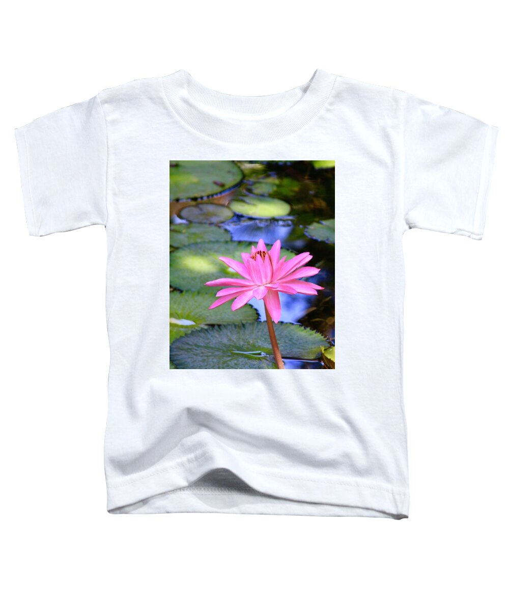 Mckee Botanical Garden Toddler T-Shirt featuring the photograph Vibrant Pink Lotus on The Pond by M E