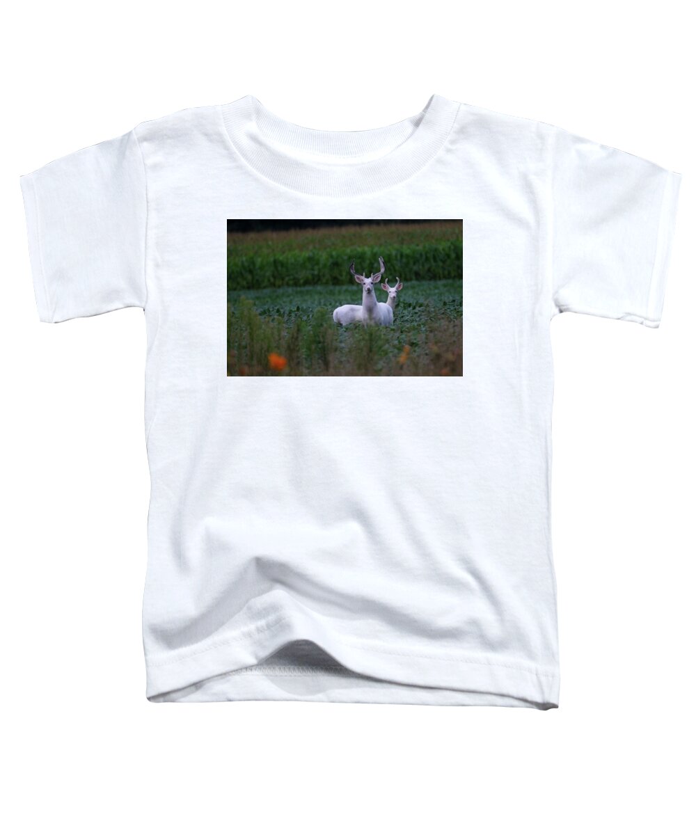 White Toddler T-Shirt featuring the photograph White Bucks by Brook Burling