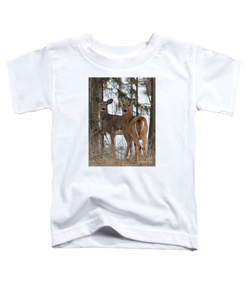 Mccombie Toddler T-Shirt featuring the painting White-Tailed Deer by J McCombie
