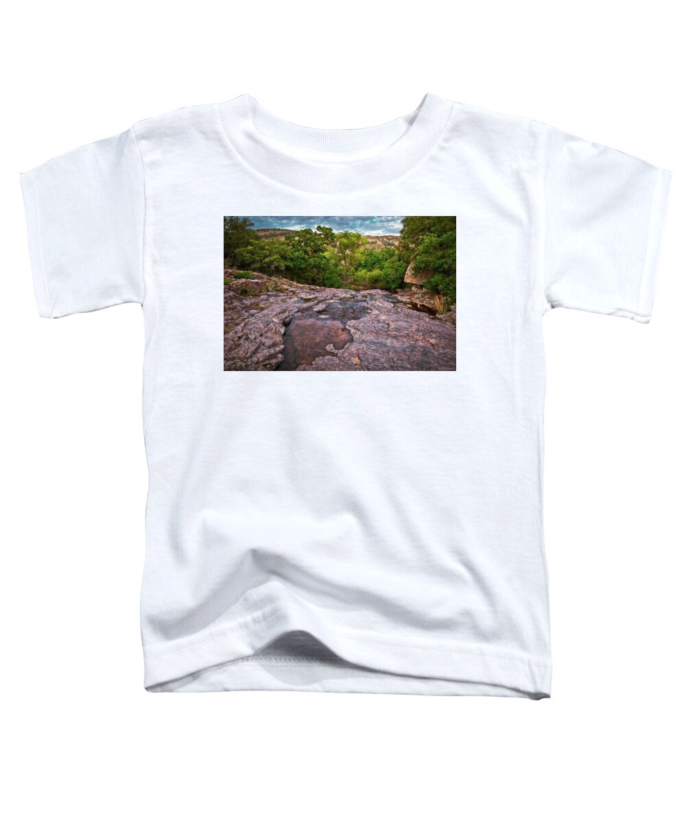Granite Stone Toddler T-Shirt featuring the photograph Willow Loop by Linda Unger