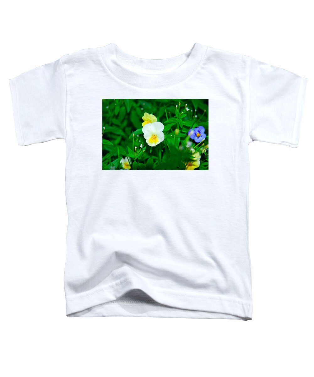 Winter Toddler T-Shirt featuring the photograph Winter Park Violets 1 by Robert Meyers-Lussier