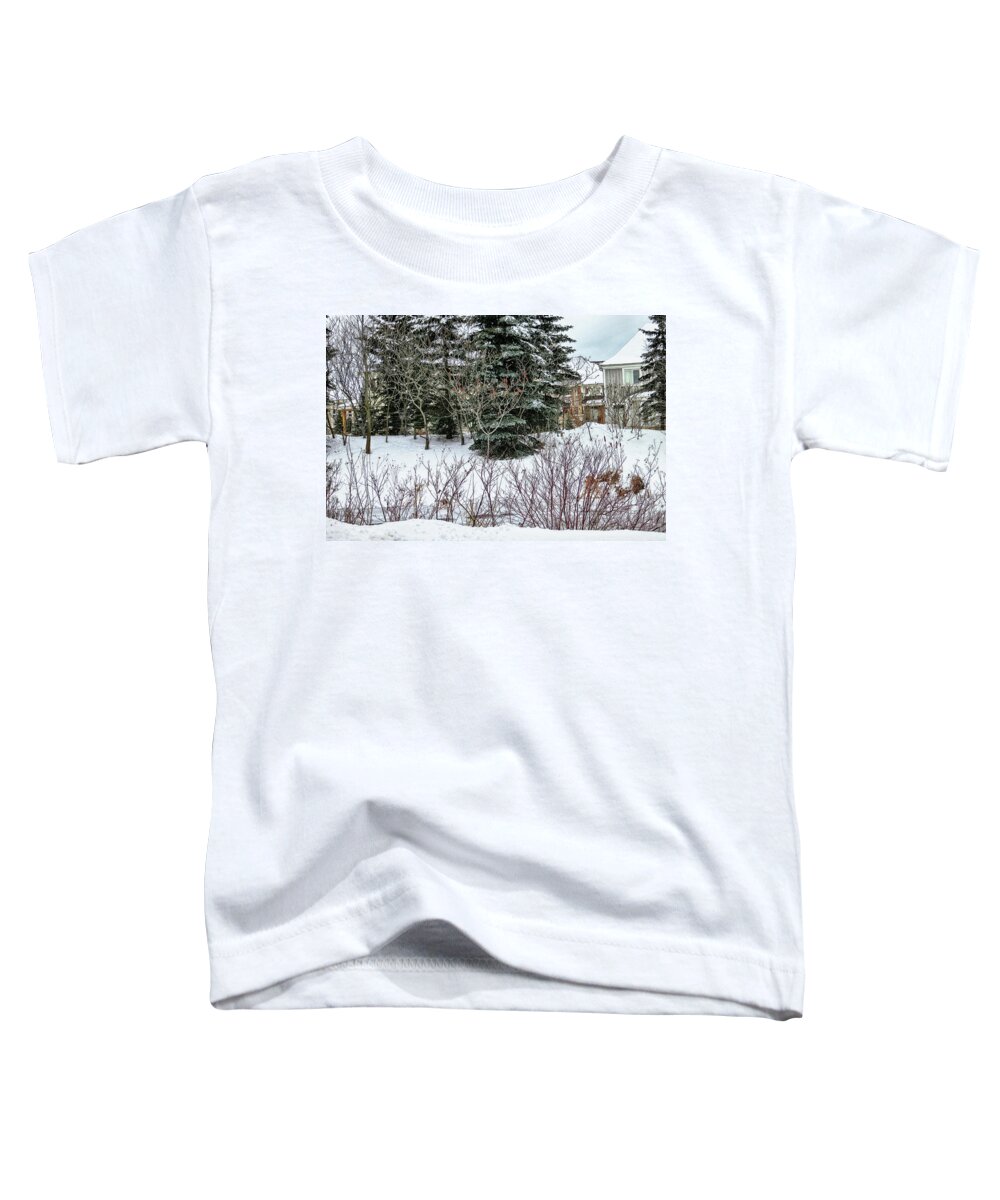 Blue Mountain Village Toddler T-Shirt featuring the photograph Winter scene by Tatiana Travelways