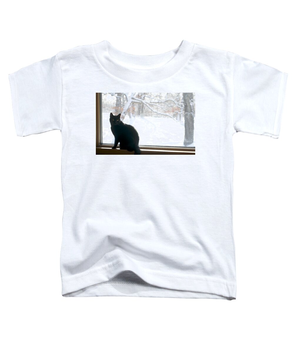 Cat Toddler T-Shirt featuring the photograph Winter sun by Brooke Bowdren