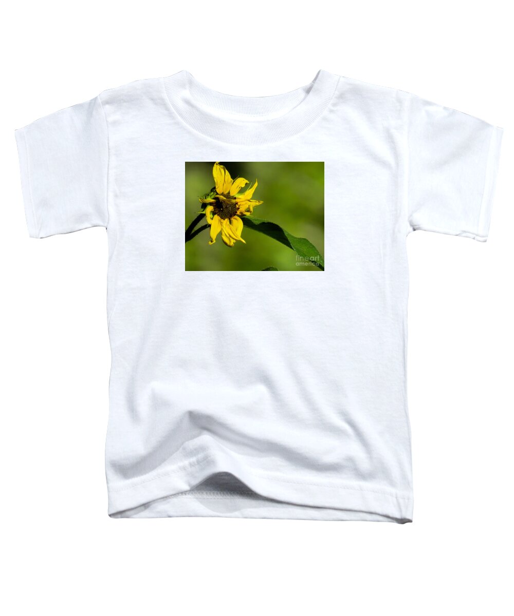 Nature Toddler T-Shirt featuring the photograph Yellow Flower 1 by Christy Garavetto