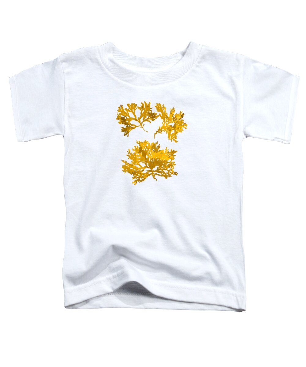 Seaweed Toddler T-Shirt featuring the mixed media Gold Seaweed Art Delesseria Alata by Christina Rollo