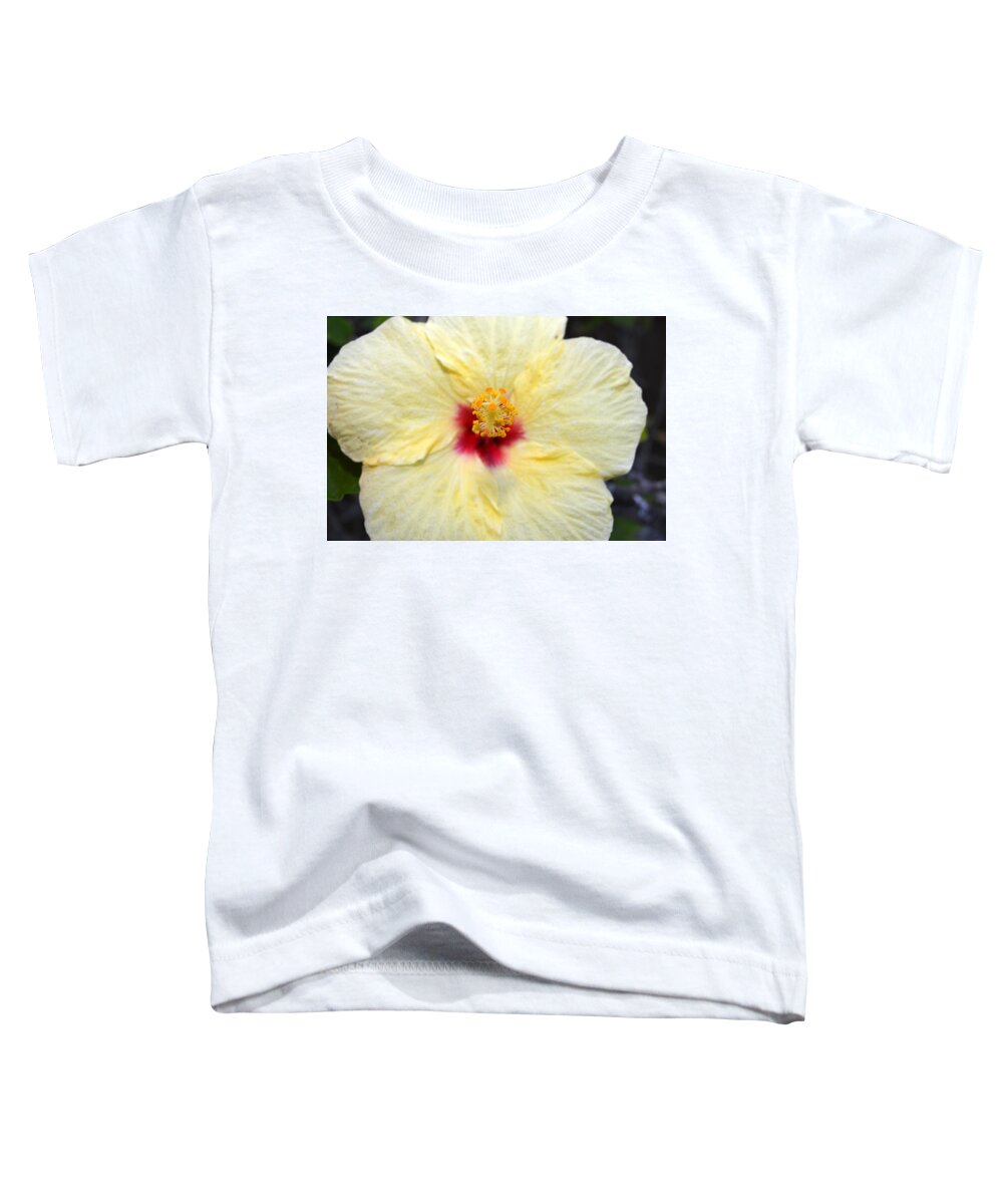 Flower Toddler T-Shirt featuring the photograph Yellow Red Hibiscus 1 by Amy Fose