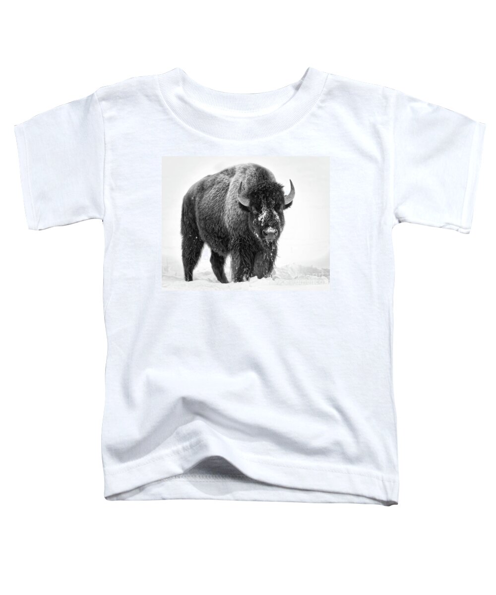 Animal Toddler T-Shirt featuring the photograph Yellowstone Bison bw by Jerry Fornarotto