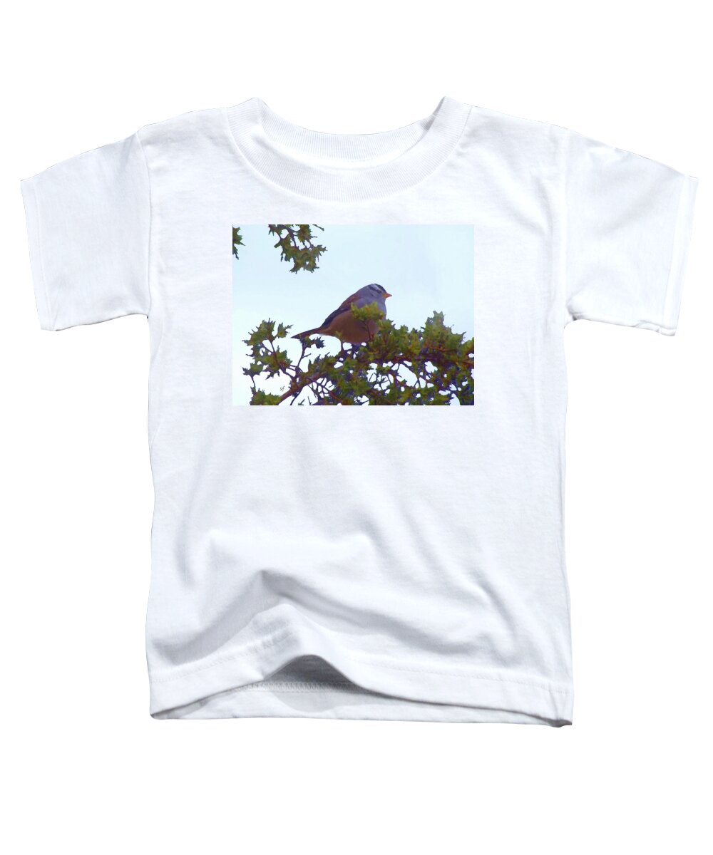 Birds Toddler T-Shirt featuring the mixed media White Crowned Sparrow in Cedar by Shelli Fitzpatrick