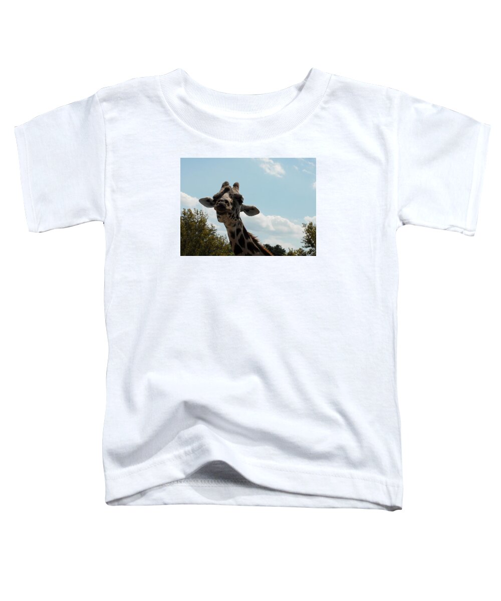 Zoo Animals Toddler T-Shirt featuring the photograph Zoo 94 by Joyce StJames