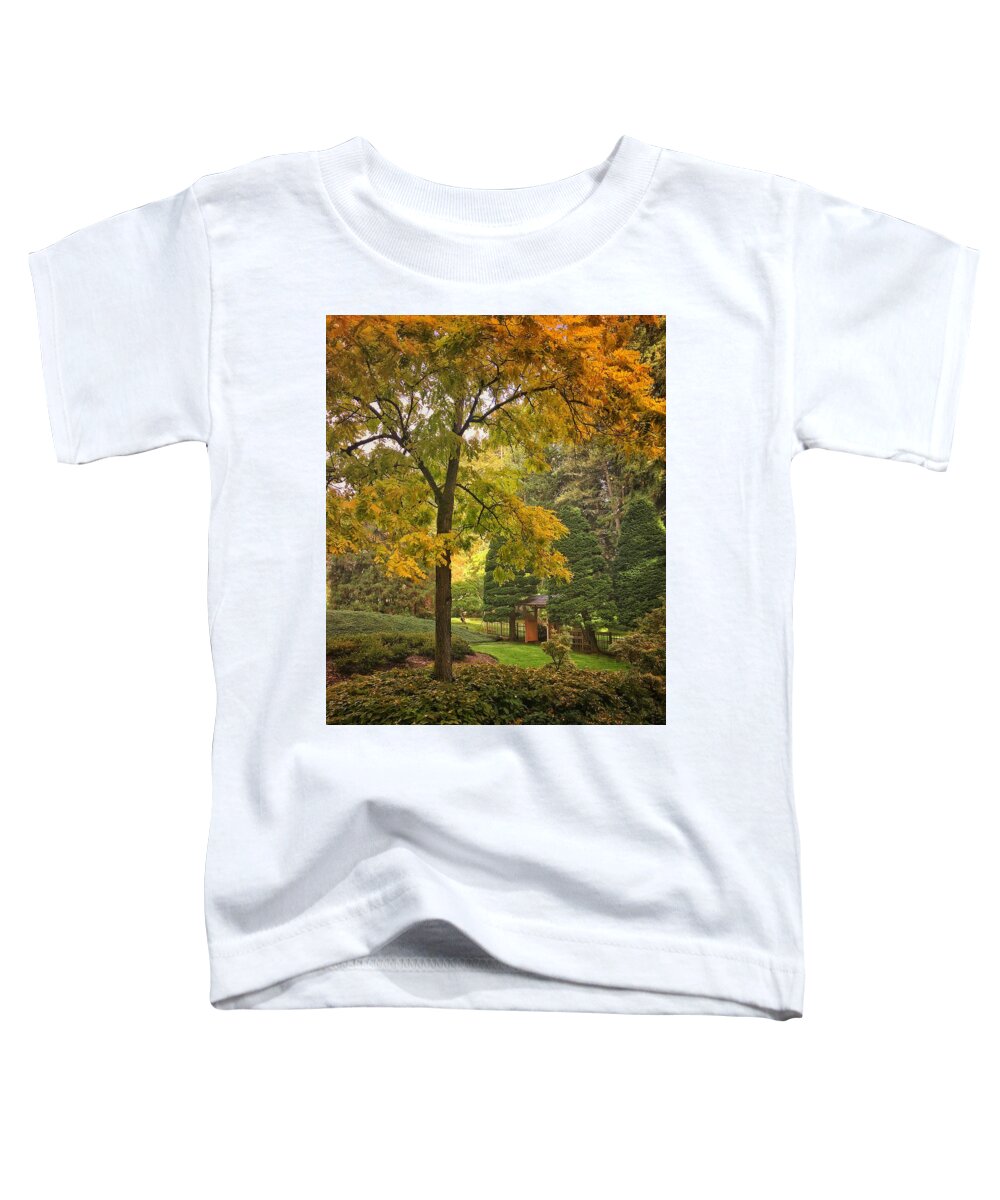 Autumn Toddler T-Shirt featuring the photograph Autumn in the Park #3 by Jerry Abbott