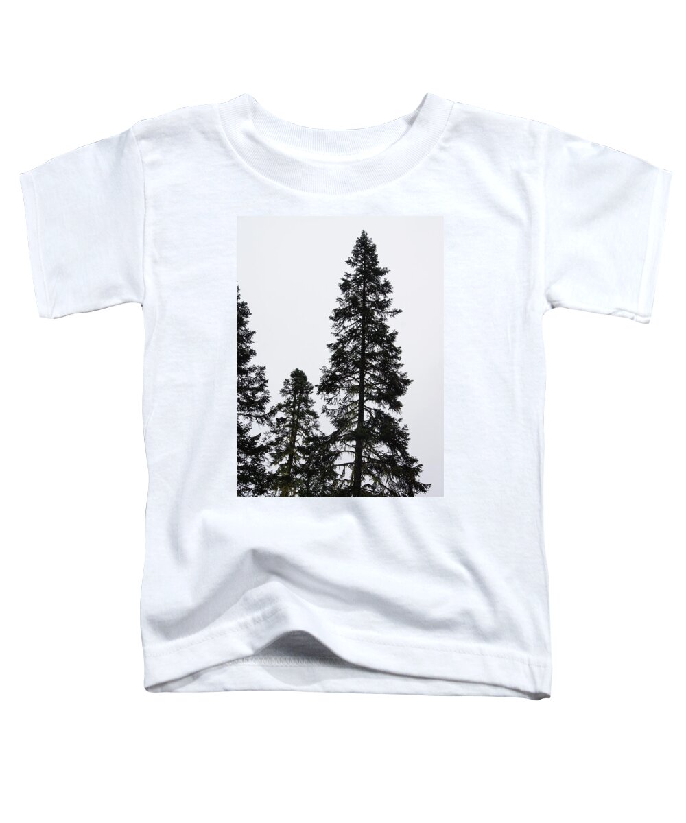 British Columbia Toddler T-Shirt featuring the photograph Bahman and his courtiers #1 by Steve Estvanik
