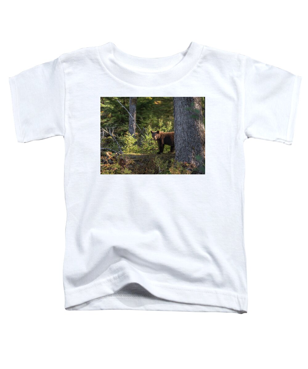 Bear Toddler T-Shirt featuring the photograph Bear by David Kirby
