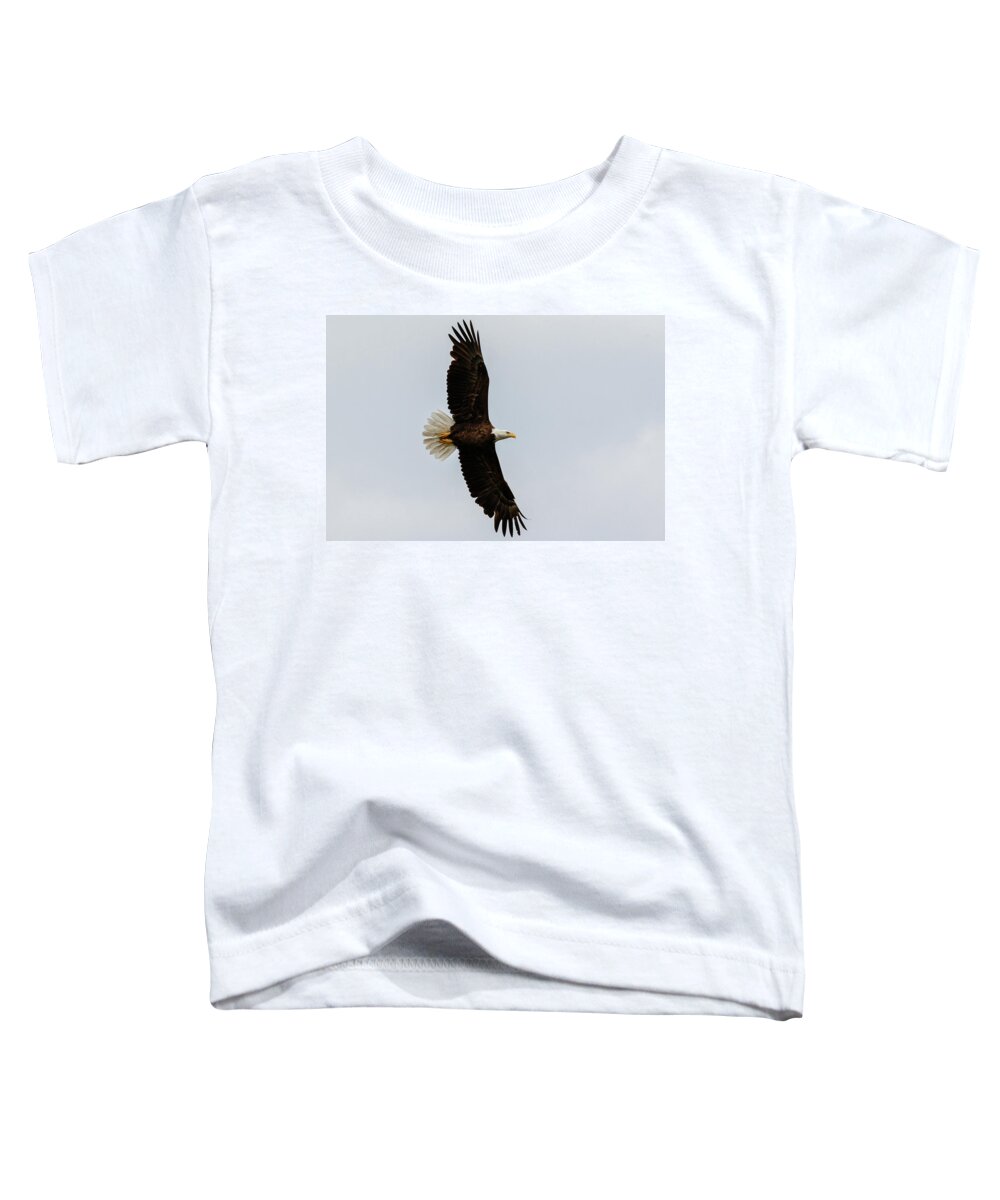 Eagle Toddler T-Shirt featuring the photograph Stretching #1 by Les Greenwood